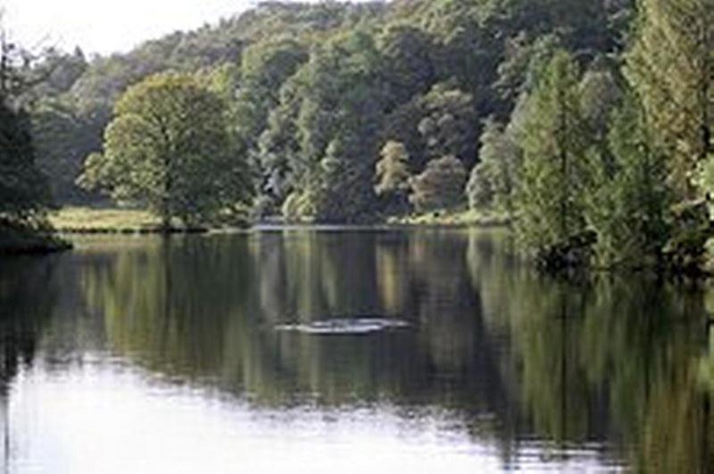 Rocklea Guest House Windermere Exteriör bild
